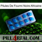 African Black Ant Pills viagra1